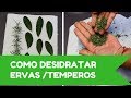 Como desidratar ERVAS e TEMPEROS? Aumente a durabilidade agora!