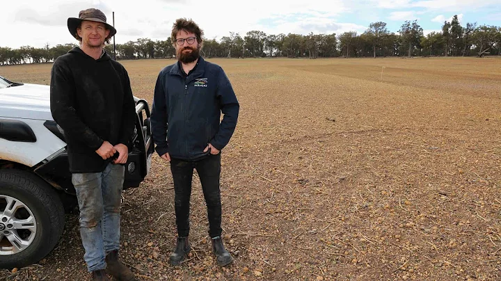 Improving claying efficiency on poor soil types | WA