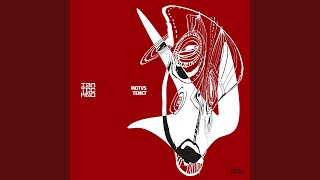 Sator - MOTVS