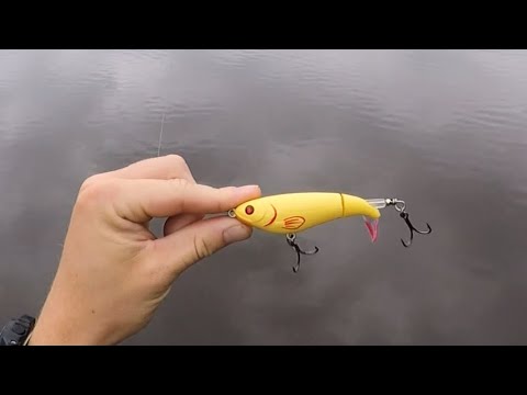 Fishing The Whopper Plopper 90 for Largemouth Bass in Lower Alabama!