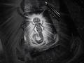 Lord Vishnu's AMAZING First Incarnation