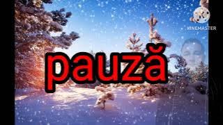 Negativ Colindă Colo-n jos Colo-n jos Sa născut Isus Hristos(Cristi din Satu Mare 2025) 