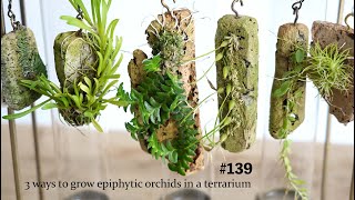 Three ways to enjoy epiphytic orchids in a terrarium #139 by 苔テラリウム専門-道草ちゃんねる‐ 134,146 views 6 months ago 16 minutes