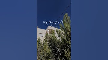 فتبسم ضاحكا من قولها وقال ربي اوزعني ان اشكر نعمتك التي انعمت علي وعلى والدي.. سورة النمل #قران 💚🤍