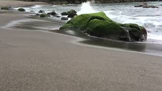 Sea waves   beach drone video Free HD Video   no copyright