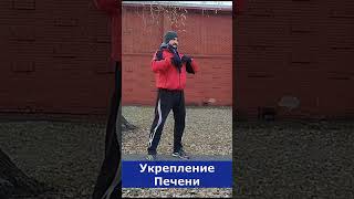 Здоровье Печени: одно простое упражнение для печени и желчного пузыря