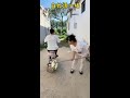Favorite Degree Incentive Program - Funny Everyday Life in the Countryside