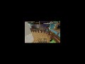 Live on Hive - Playing On Hide and Seek