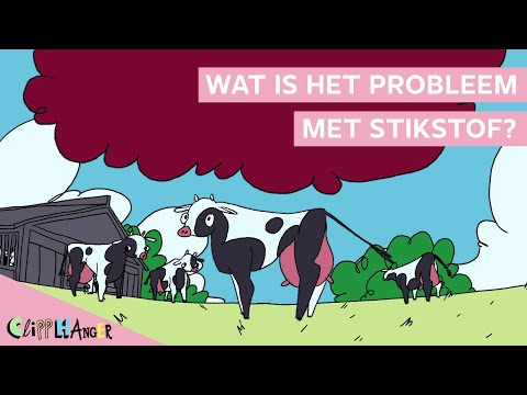 Video: Wat Is Selfkritiek