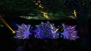 Blacklite Records At Vortext Festival In South Africa