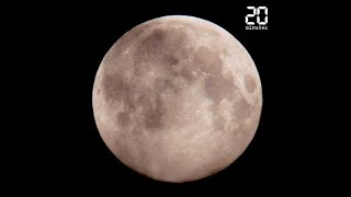 Plus grosse et plus brillante, la «Super Lune rose» a éclairé le ciel