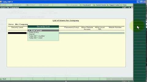 Audit Feature in Tally ERP 9