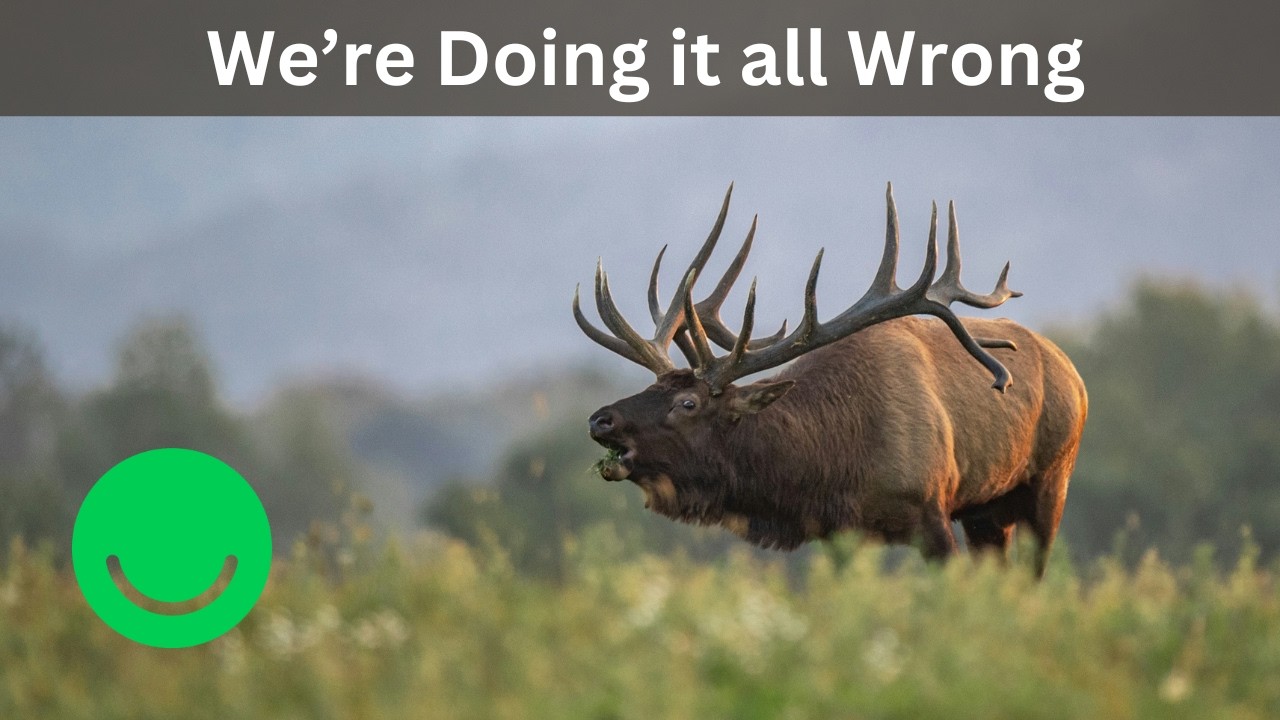 Why Rewilding Works (and what you can do at home)