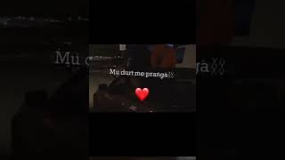 readi panda