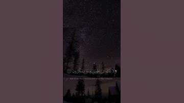 (وَاصْبِرْ وَمَا صَبْرُكَ إِلَّا بِاللَّهِ) الأية [127-128] من سورة النحل للقارئ#اسلام_صبحي
