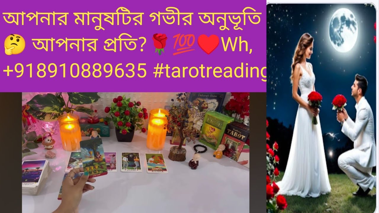 আপনার মানুষটির গভীর অনুভূতি🤔 আপনার প্রতি?🌹💯♥️Wh,+918910889635 #tarotreading #astrology 