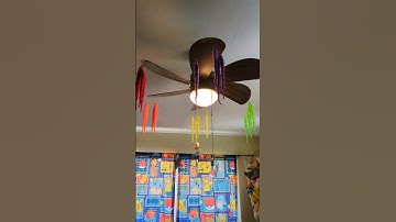 Worms on a String on a Ceiling Fan at Max Speed #worm #wormonastring #funny #ceilingfan #rainbow
