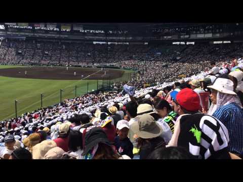 大阪桐蔭側アルプス席で三重高校を応援する観客【2014年夏甲子園決勝】