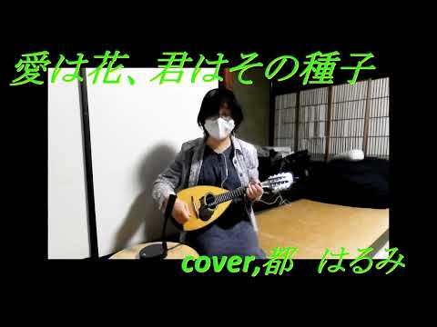 愛は花、君はその種子　no.93 マンドリン弾き語り(3年目になりました(^▽^)/）