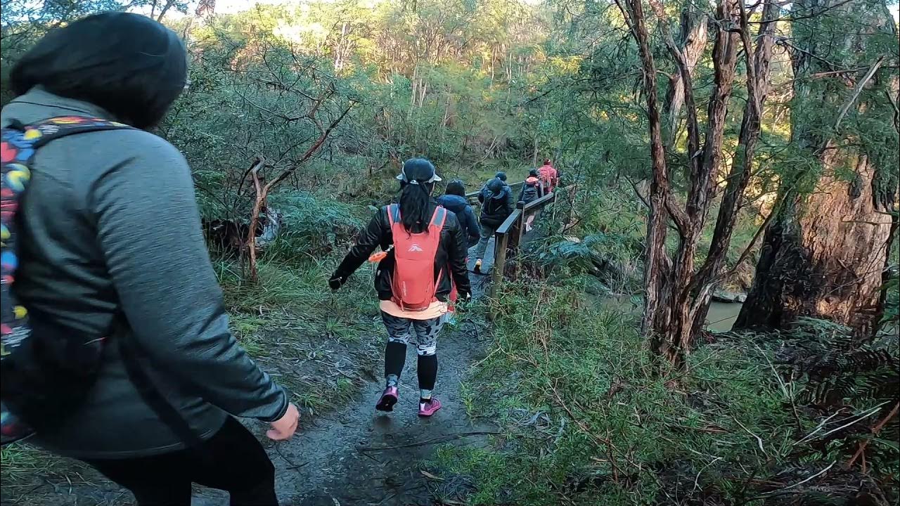 Jumping Creek Reserve to Black Flat Warrandyte State Park YouTube
