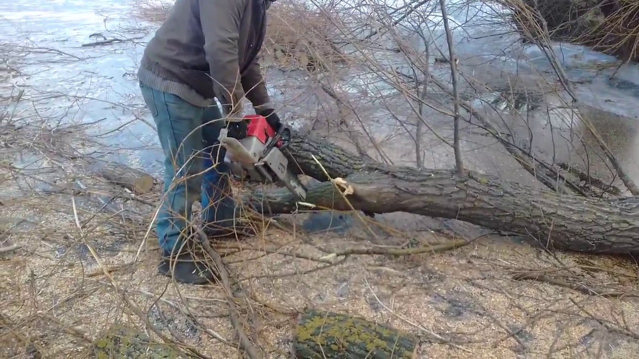МОТОР СИЧ 270  ЛЕСОРУБ  ВАЛКА ДЕРЕВ ПО ОЗЕРУ
