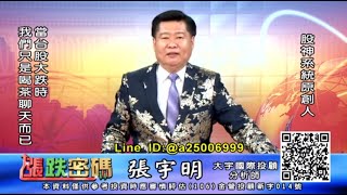 20200820 2200 張宇明 漲跌密碼