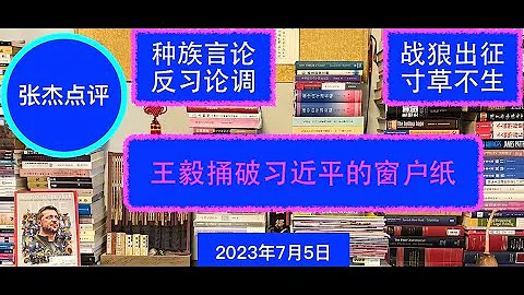 王毅闖禍發表反習言論 中國外交奔向最後癲狂 - 天天要聞