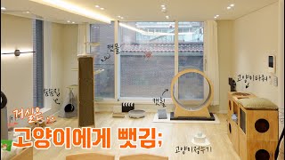 고양이 네 마리와 이사 후 별거 없는 랜선집들이 by 젤리공작소 (4마리 고양이) 2,974 views 1 year ago 3 minutes, 54 seconds