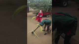 The masqueraders have come to salute their area fada for Christmas