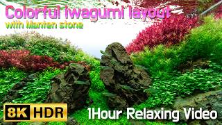[8K HDR] ADA-60P Colorful iwagumi layout with Manten stones screenshot 2