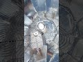 PARVATI STAND TEST FROM 4 COMPUTER FANS