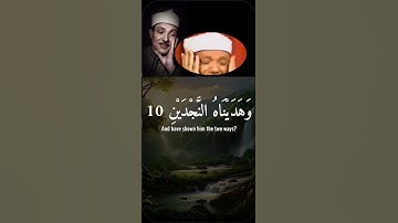 قرآن كريم #سور_القرآن #قصص_القرآن #اكسبلور #دويتو #2025 #لايك #fypage #duet #سورة #سورة_الفجر #راحة_
