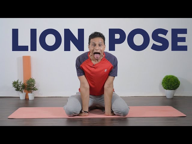 Lion Yoga (Simhasana). The Lion pose, or Roaring Lion pose, is… | by Make  Yourself Knowledgeable | Medium
