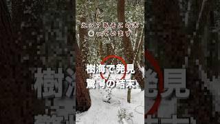 【心霊】樹海村の奥地にある都市伝説…禁忌の五芒星を見つけた。雪の日に足跡を辿って…