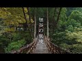 【日本三大秘境】祖谷の秘境とかずら橋 : A Hidden Scenic Place in Tokushima（Tokushima, Japan）