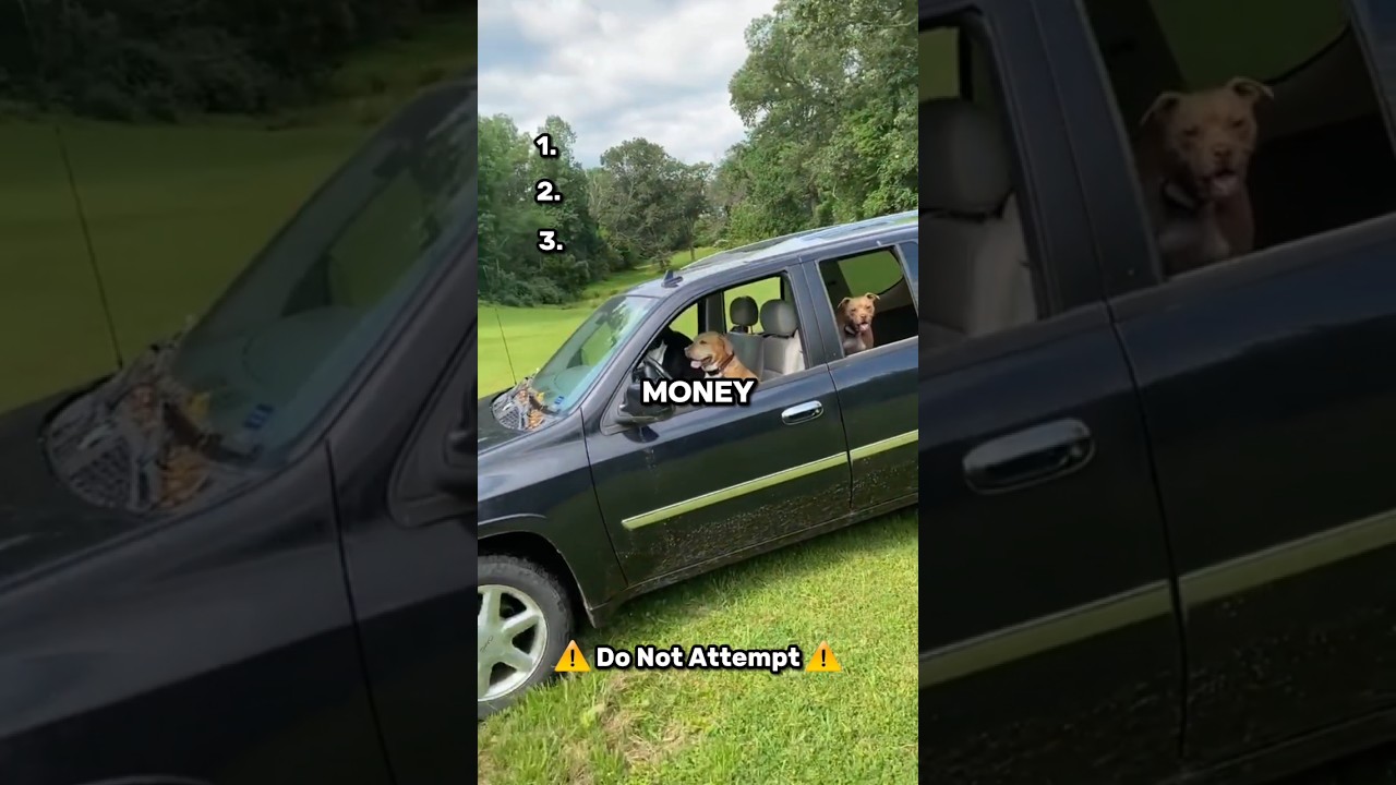 With Friends Like These You Won't Need Enemies