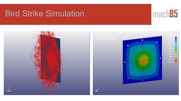 Bird Strike Simulation