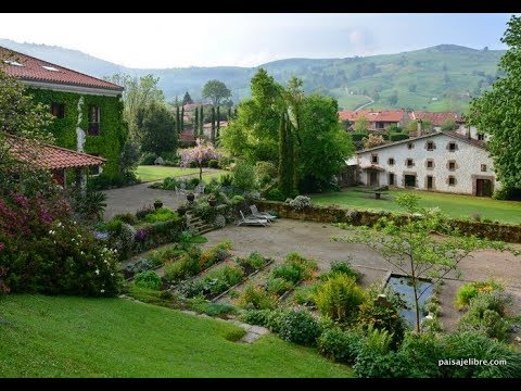 Video: Camino de bricolaje desde los cortes de árboles. Paisajismo del sitio