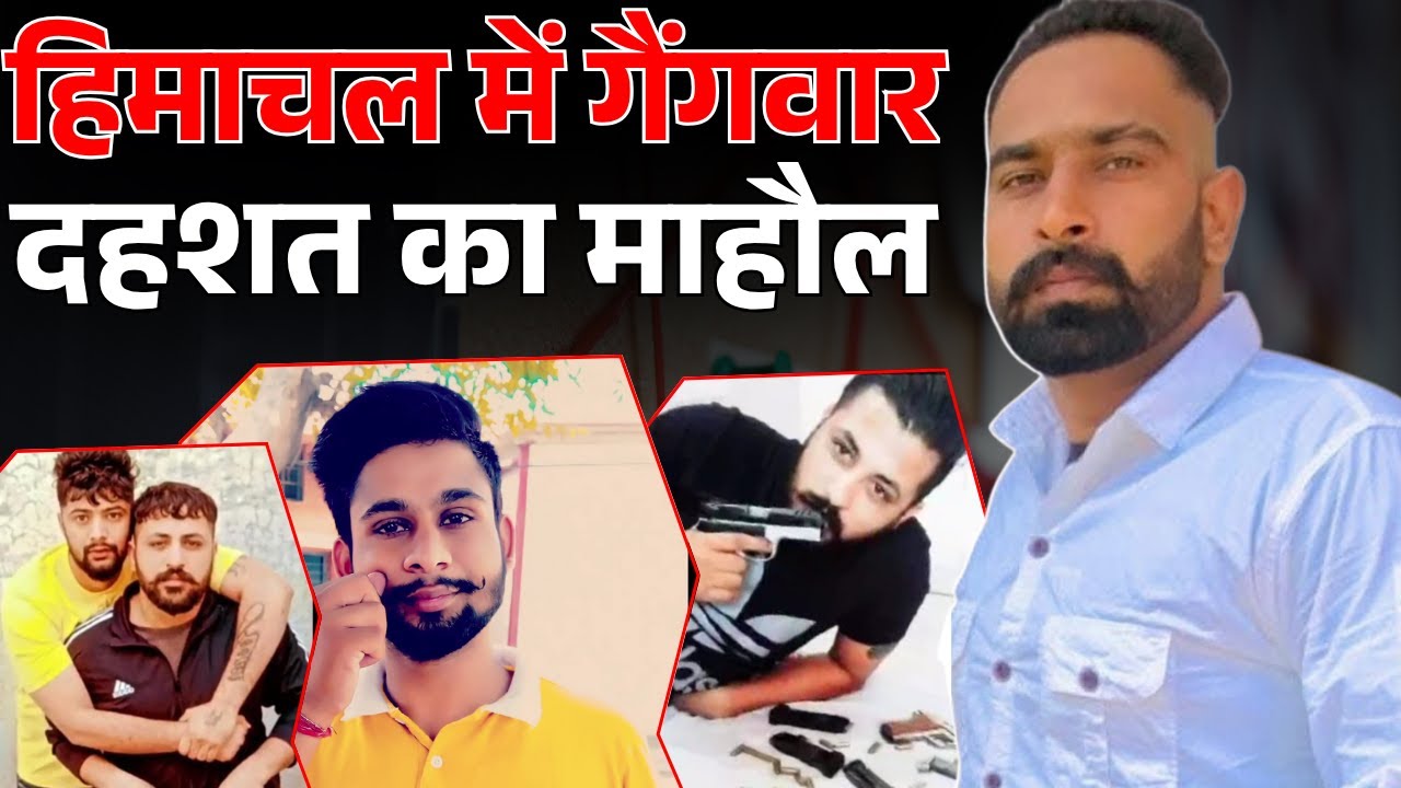 CRIME STROY || हिमाचल में Gang War | हरियाणा व पंजाब की गैंग आमने-सामने | दहशत का माहौल |