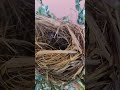 😍😍😍 #amazing #viral #video