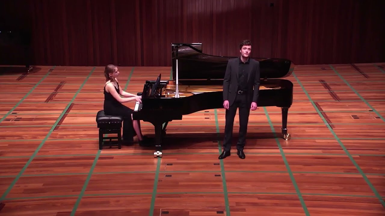 Steven van der Linden - An eine Äolsharfe (Wolf)