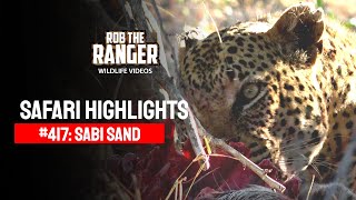 Safari Highlights #417: 26 - 28 June 2016 (Latest Wildlife Sightings)