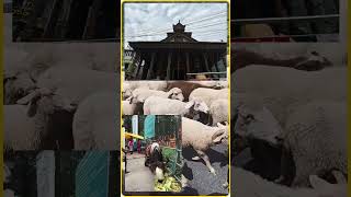 Miles Covered Minds Connected. Metal Moved Thats How Ub Steels Rolls