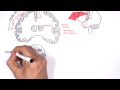 Beginning of video