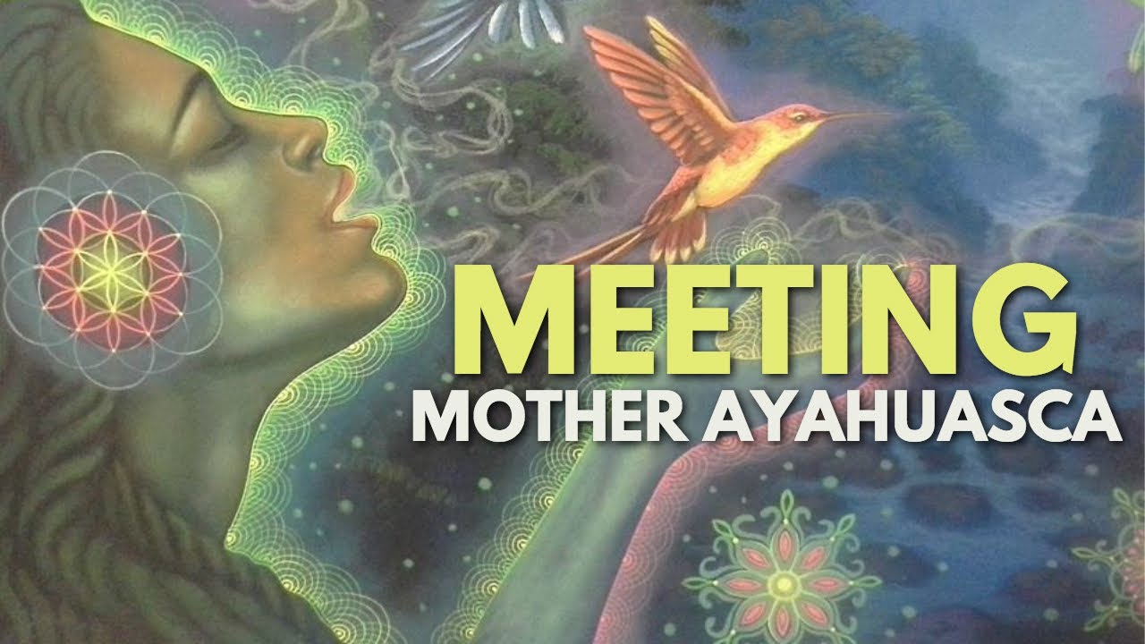 Ayahuasca Trip Experience: How To Contact ET's, Spirits, & Entities
