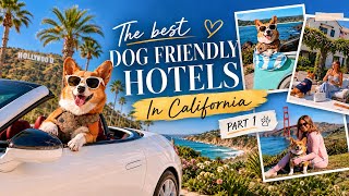 The BEST Dog-Friendly Hotels in California Pt 1 - 1 Hotel San Francisco & Ritz-Carlton Half Moon Bay