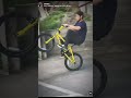 BMXがデッカくなっちゃった ウイリー専用チャリが楽しすぎる BMXがデッカくなっちゃった ウイリー専用チャリが楽しすぎる