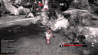 TERA Online: Some Tips - Baraka _ Priest
