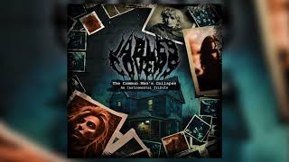 Veil of Maya - The Common Man's Collapse (full album instrumental VST cover)