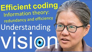 Understanding vision book: Chap 3, Efficient Coding,  5: Information theory: redundancy & efficiency